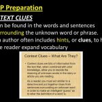 Context: A phrase hinting at the game's deceptive narrative and puzzles.